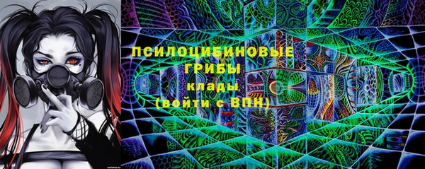 дживик Верхний Тагил